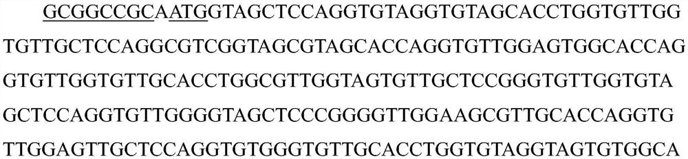 Long-acting recombinant elastin expressed by saccharomyces cerevisiae and application of the long-acting recombinant elastin in cosmetics