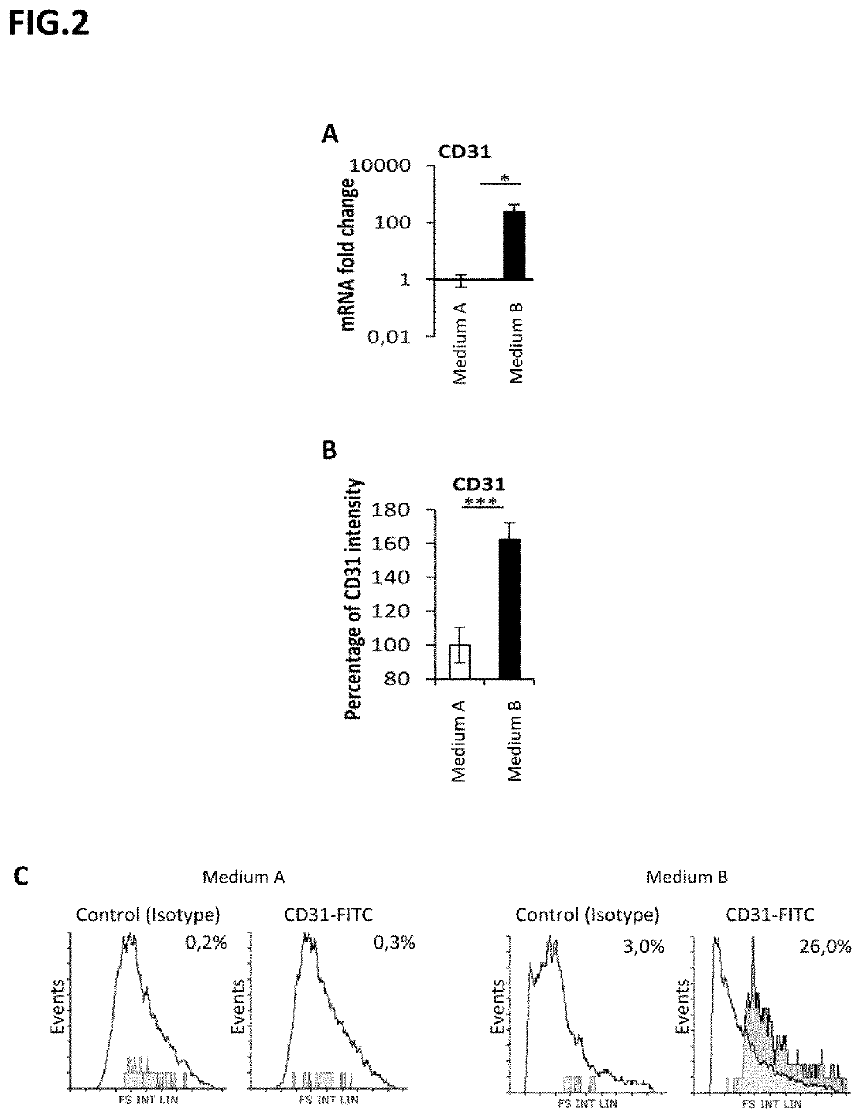 Cellular aggregates for use in vascularisation therapy