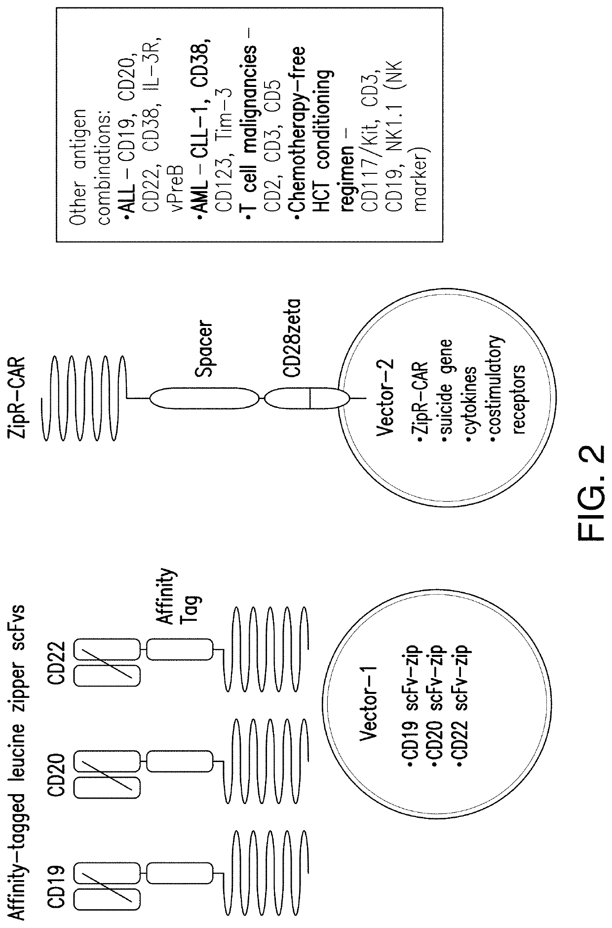 Leucine zipper-based compositions and methods of use