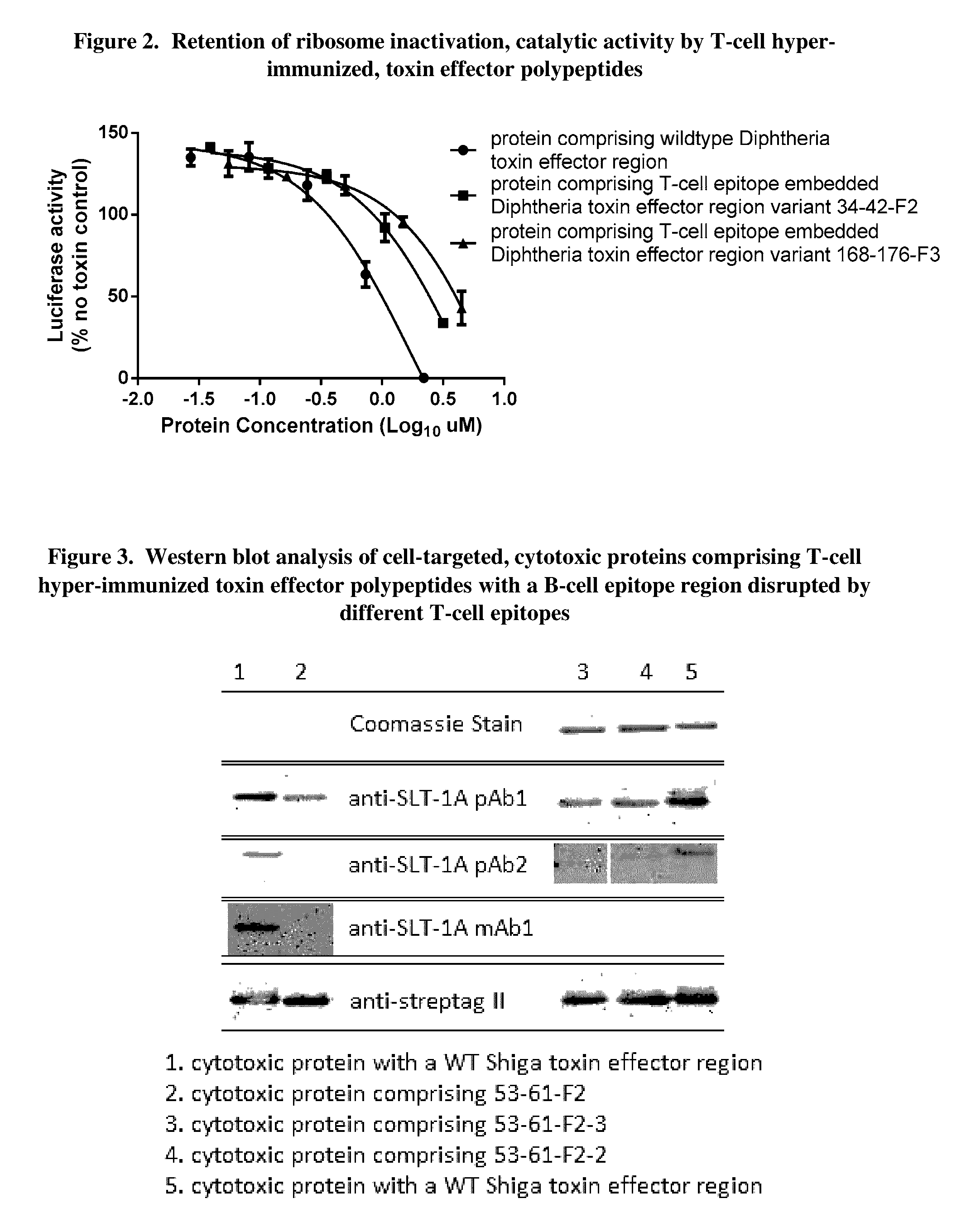 Mhc class i epitope delivering polypeptides and cell-targeted molecules for direct cell killing and immune stimulation via mhc class i presentation and methods regarding the same