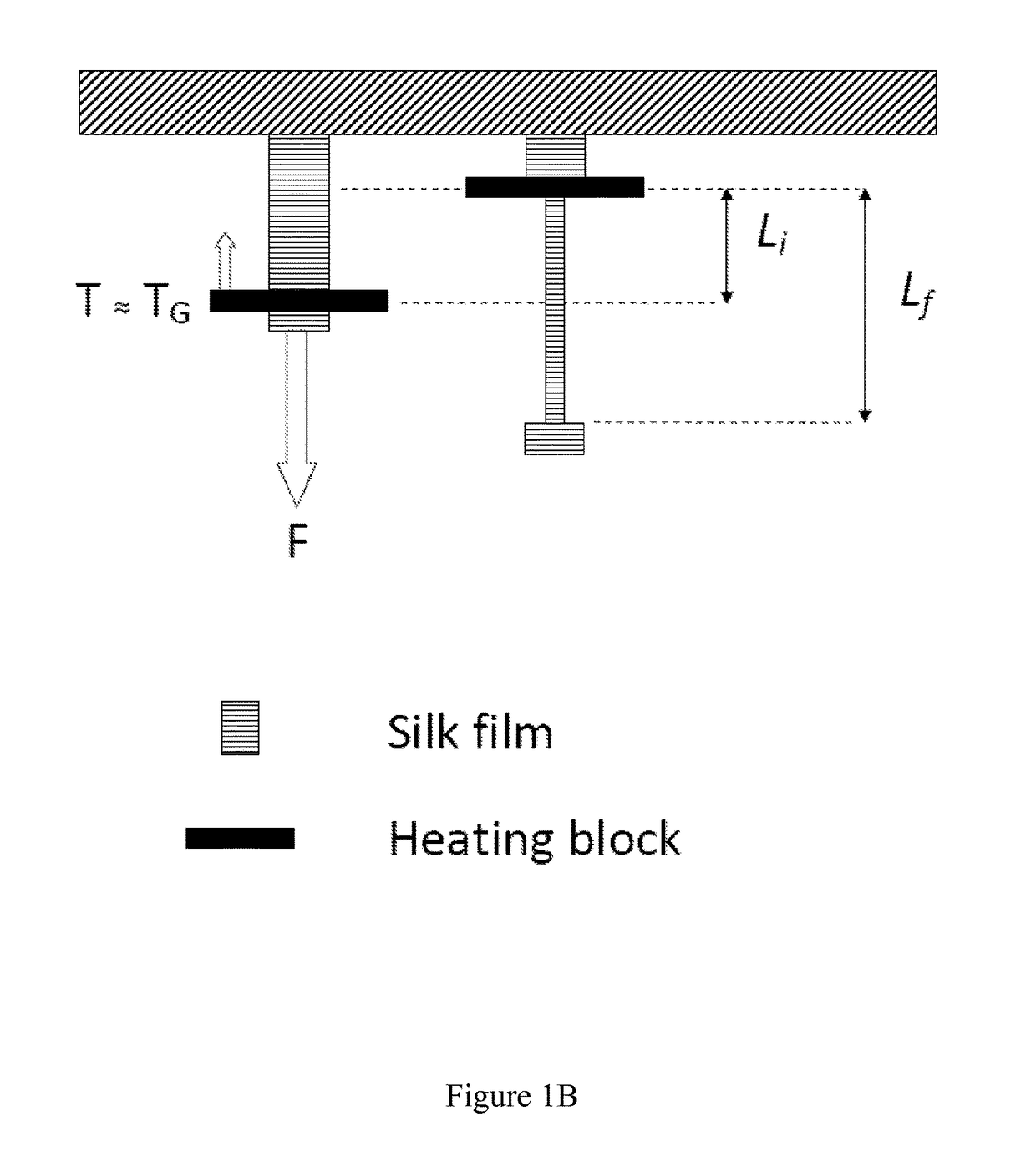 Silk-based piezoelectric materials