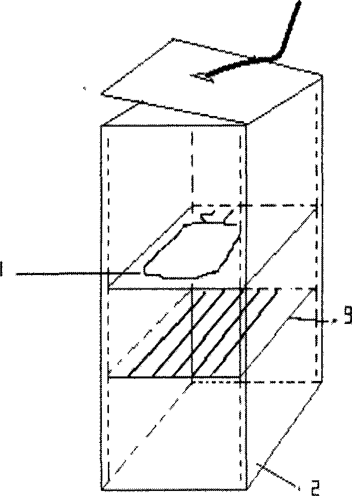 Device and method for cryopreserving animal cells in batch