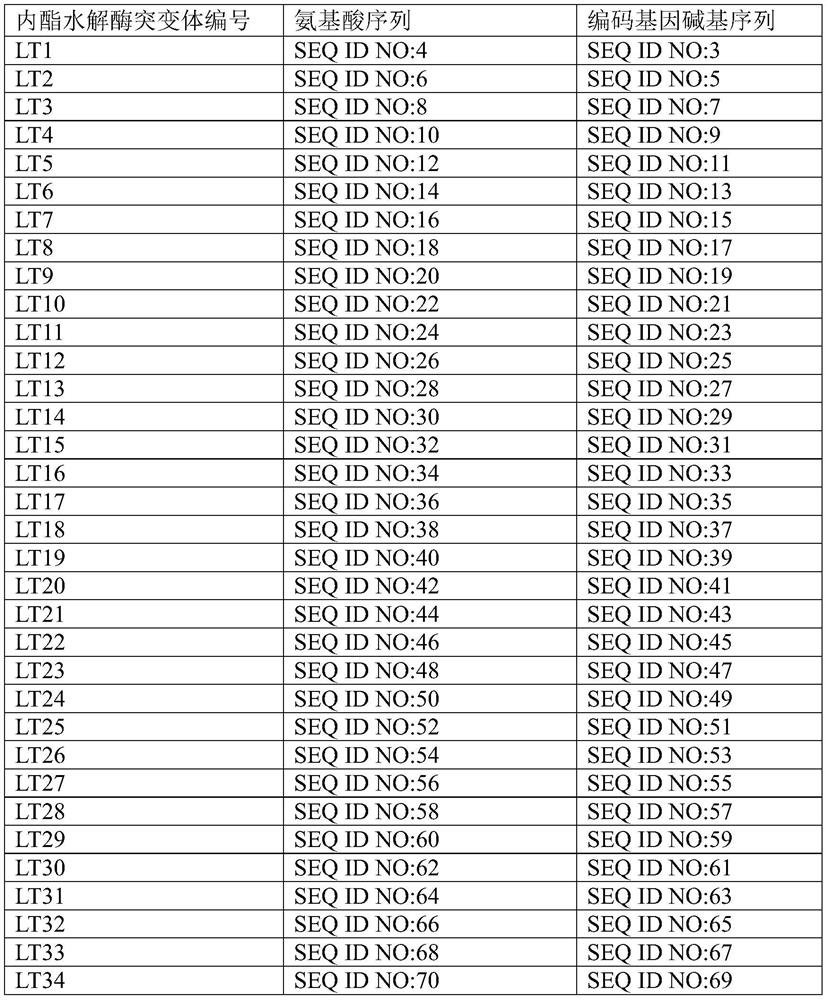 Lactone hydrolase mutant and application thereof