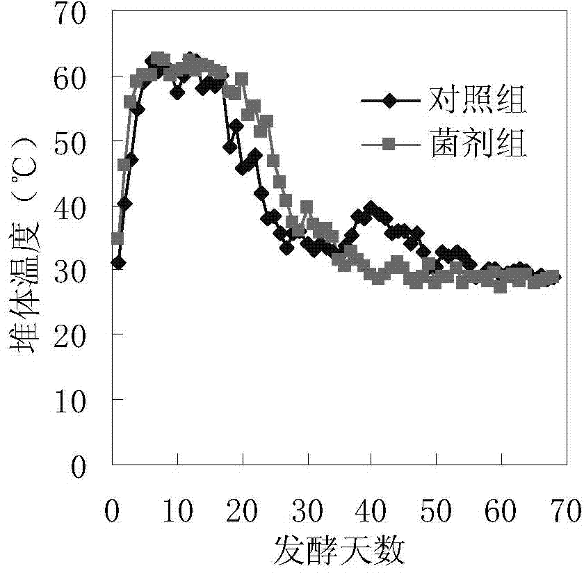 High-temperature compost decay-promoting bacterial compound inoculant and applications thereof