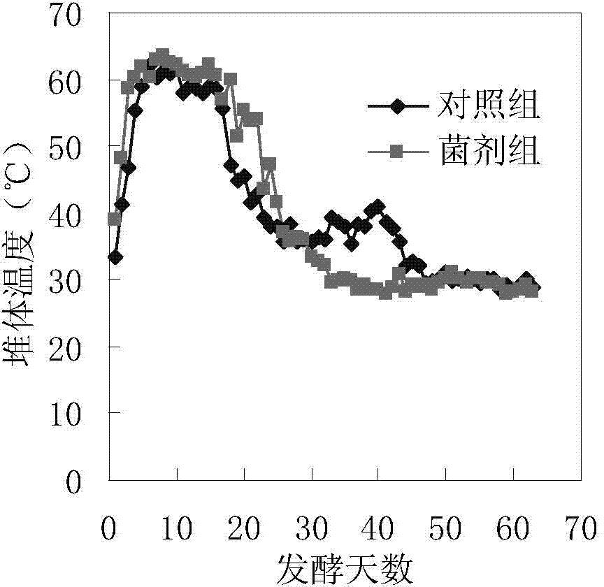 High-temperature compost decay-promoting bacterial compound inoculant and applications thereof