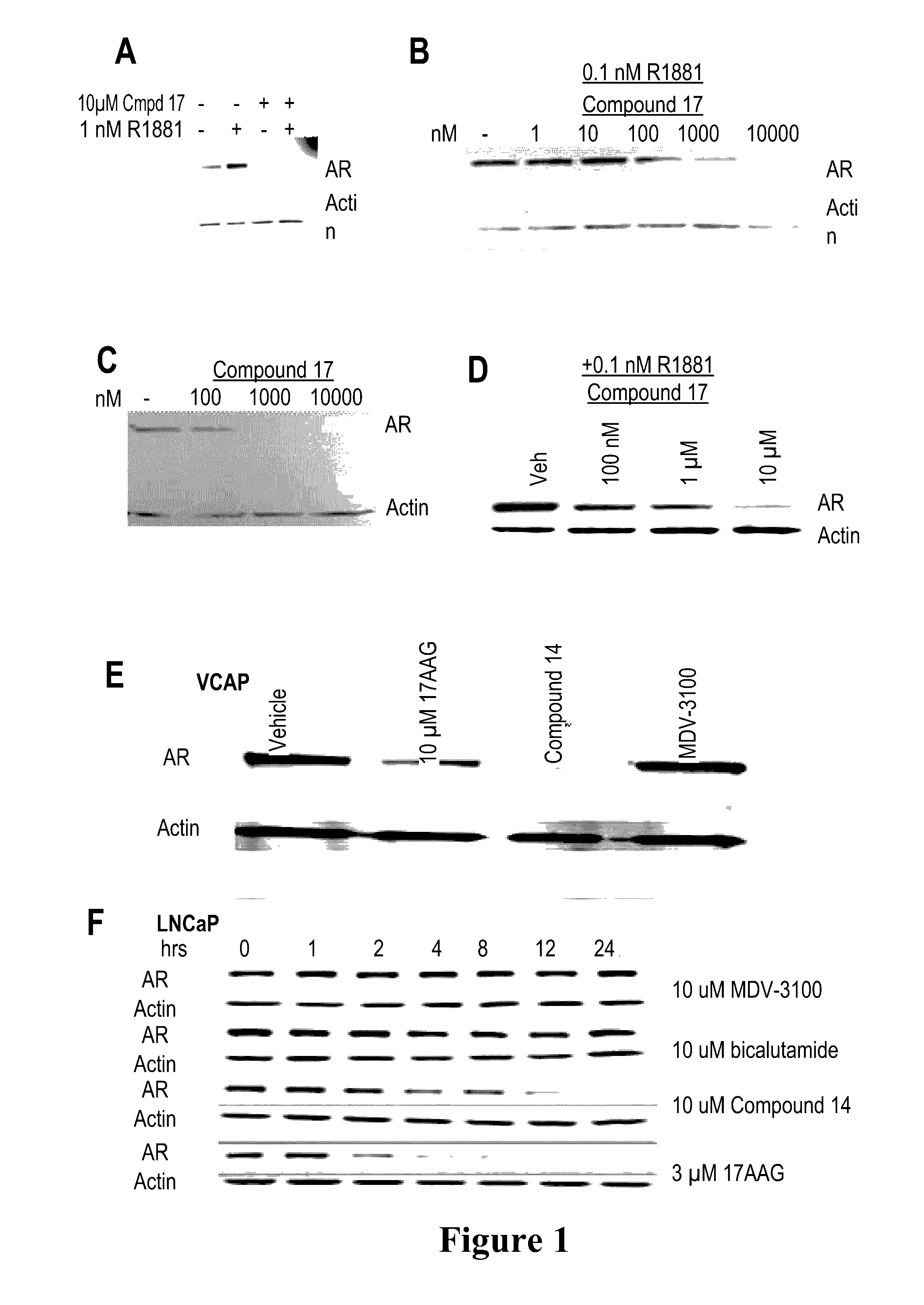 Selective androgen receptor degrader (SARD) ligands and methods of use thereof