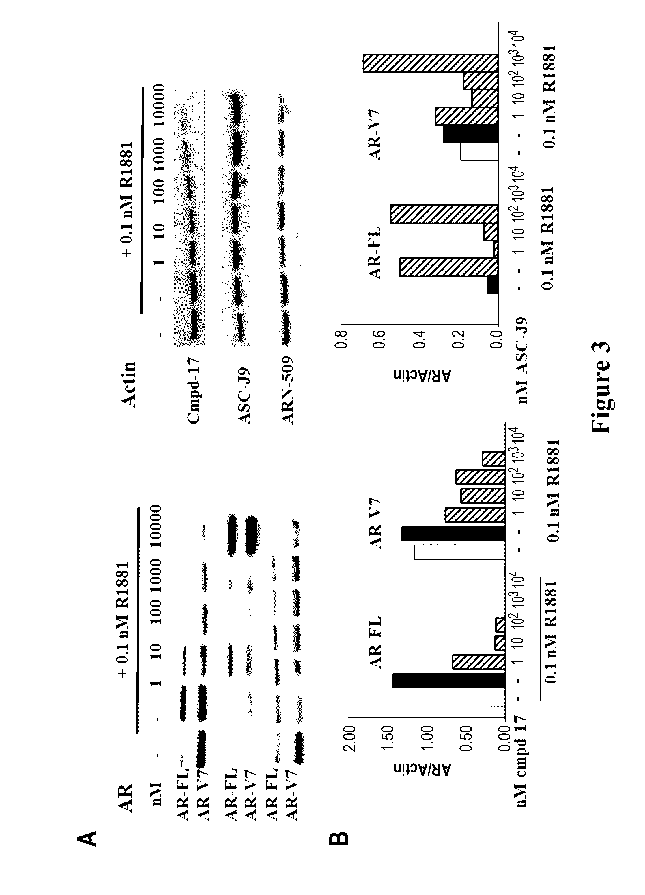 Selective androgen receptor degrader (SARD) ligands and methods of use thereof