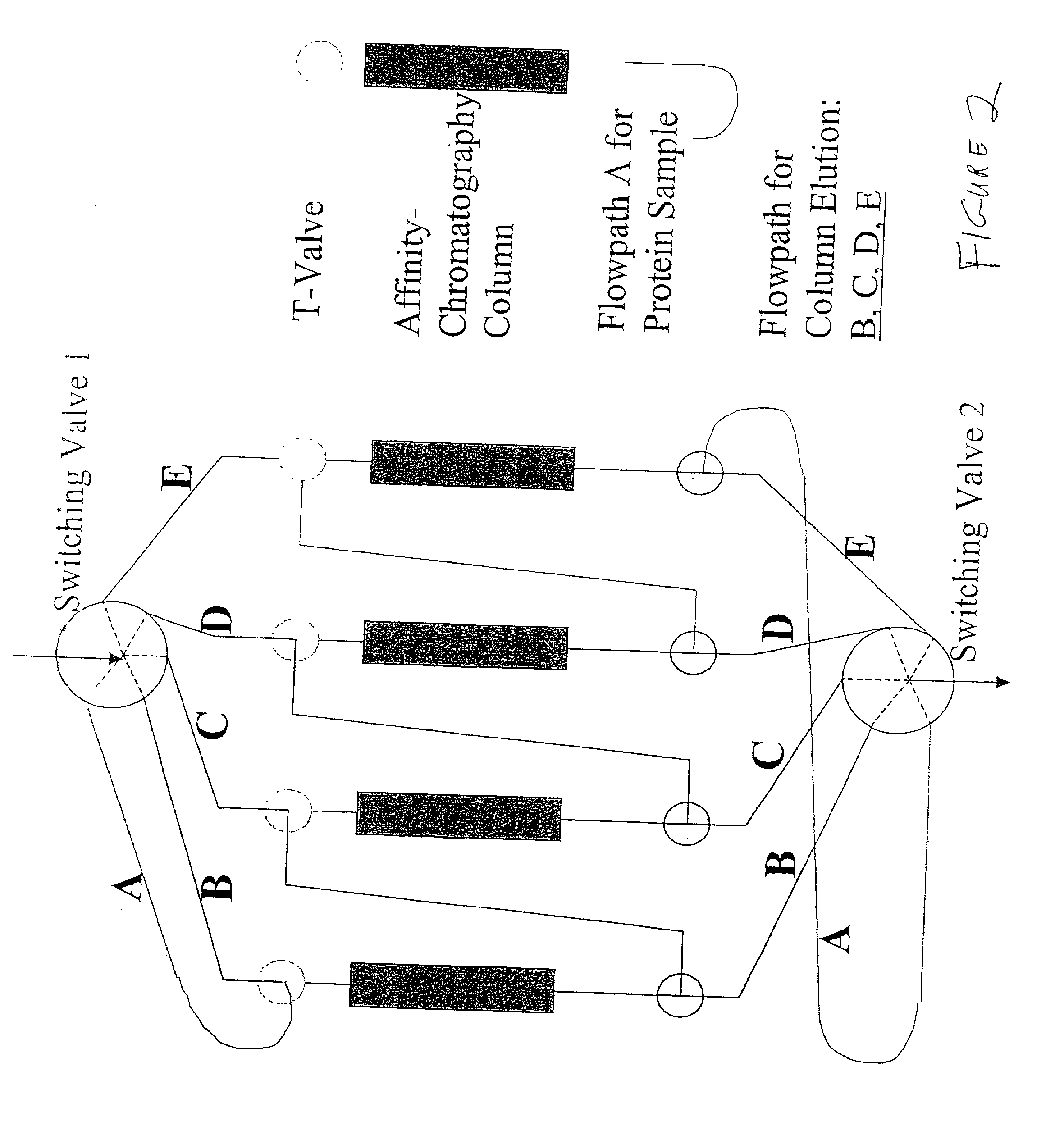 Immunosubtraction method for sample preparation for 2-DGE