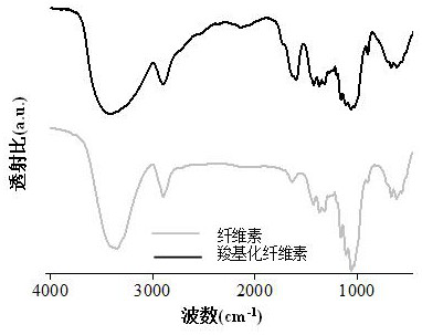 Carboxyl nano-cellulose and preparation method thereof