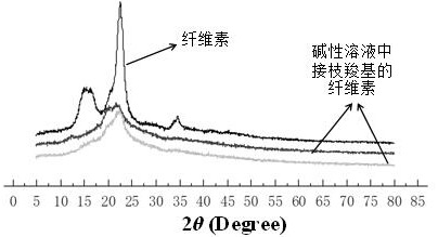 Carboxyl nano-cellulose and preparation method thereof