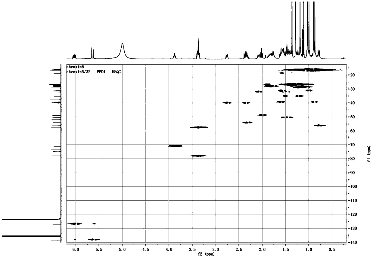 Protopanaxadiol derivative and application thereof