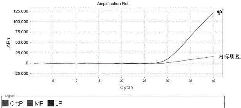 Donkey-derived and horse-derived nest-type fluorescent PCR detection primer in donkey-hide gelatin, probe composition, kit, detection method and application