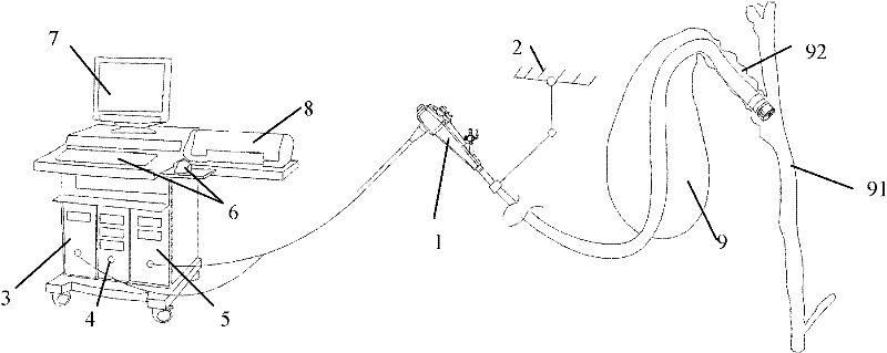 Novel three-dimensional electronic choledochoscope system and use method thereof