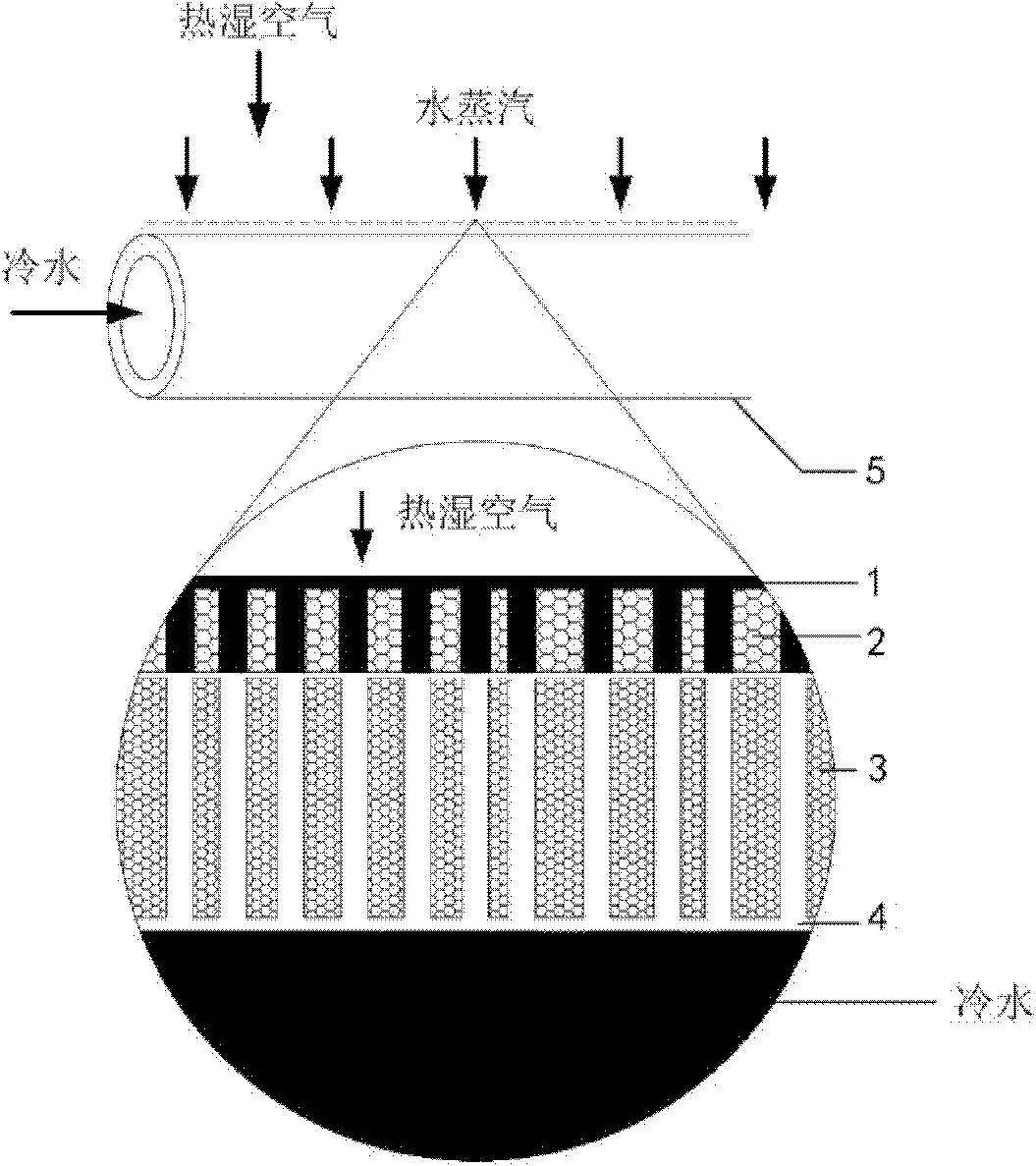 Novel dehumidifying apparatus on basis of hydrophilic/hydrophobic composite microporous membranes under microgravity