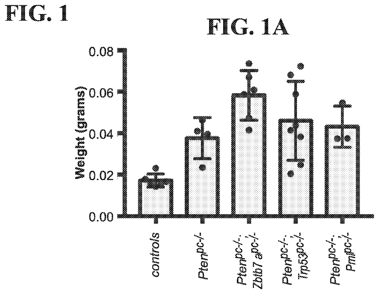 Compositions and methods for treating a tumor suppressor deficient cancer