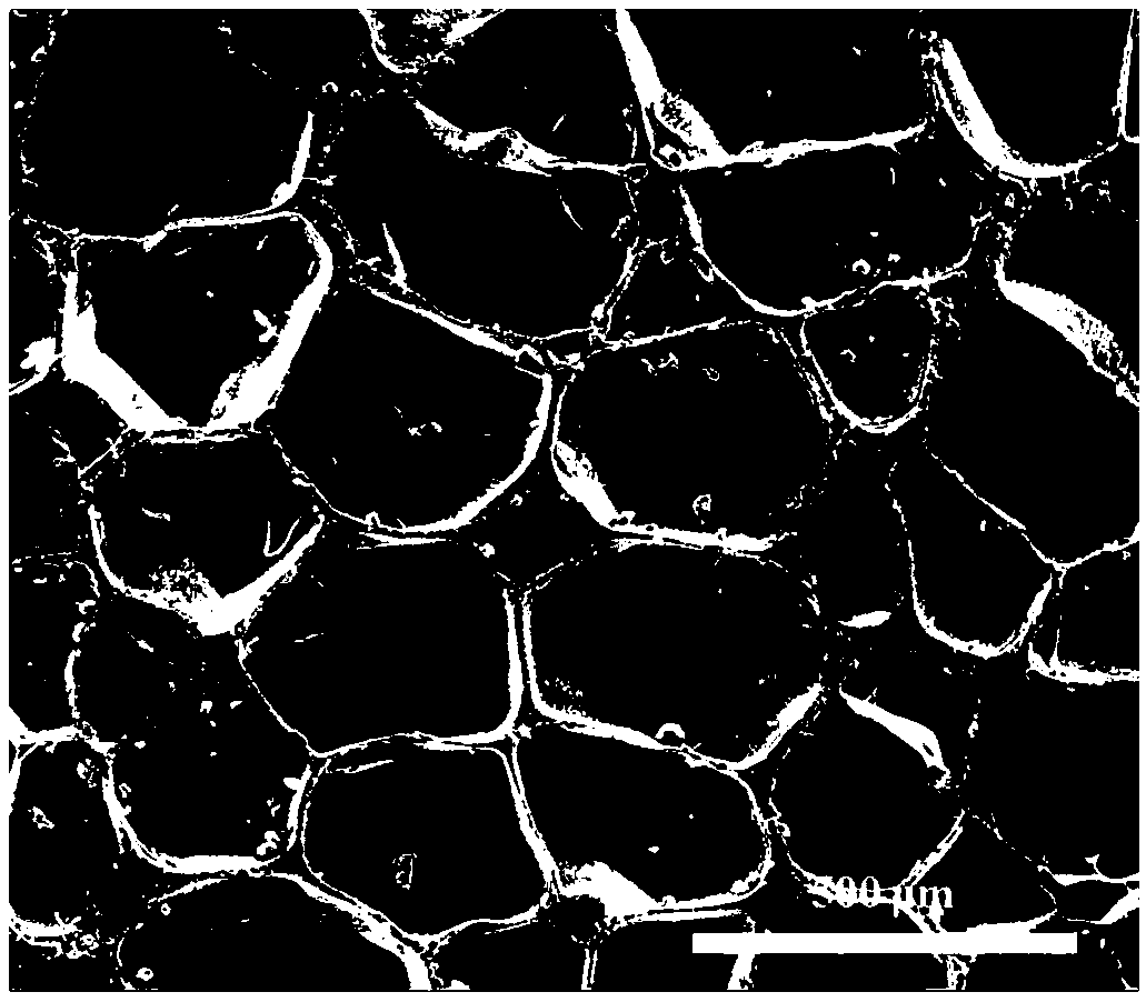 Method for preparing closed-pore structure rubber foam material by mold pressing physical foaming