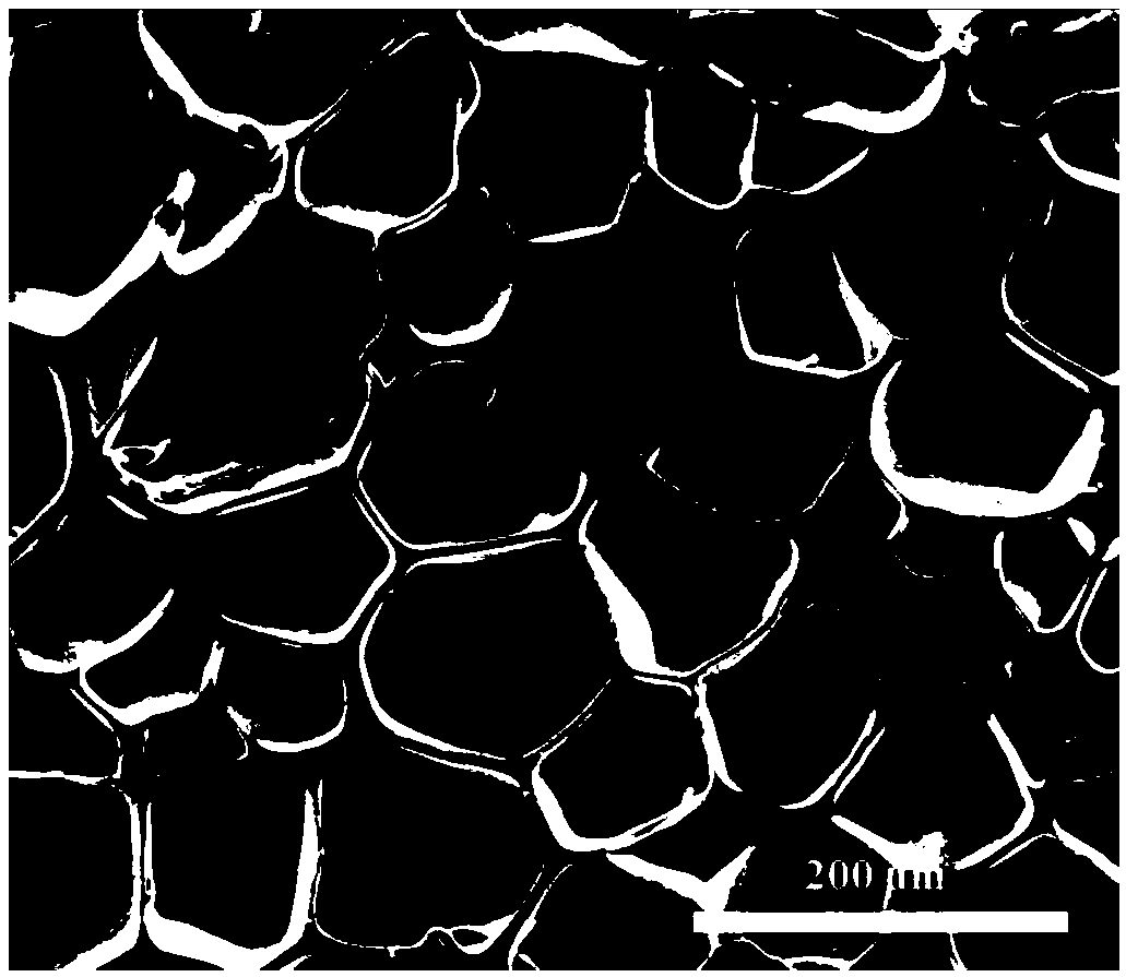 Method for preparing closed-pore structure rubber foam material by mold pressing physical foaming