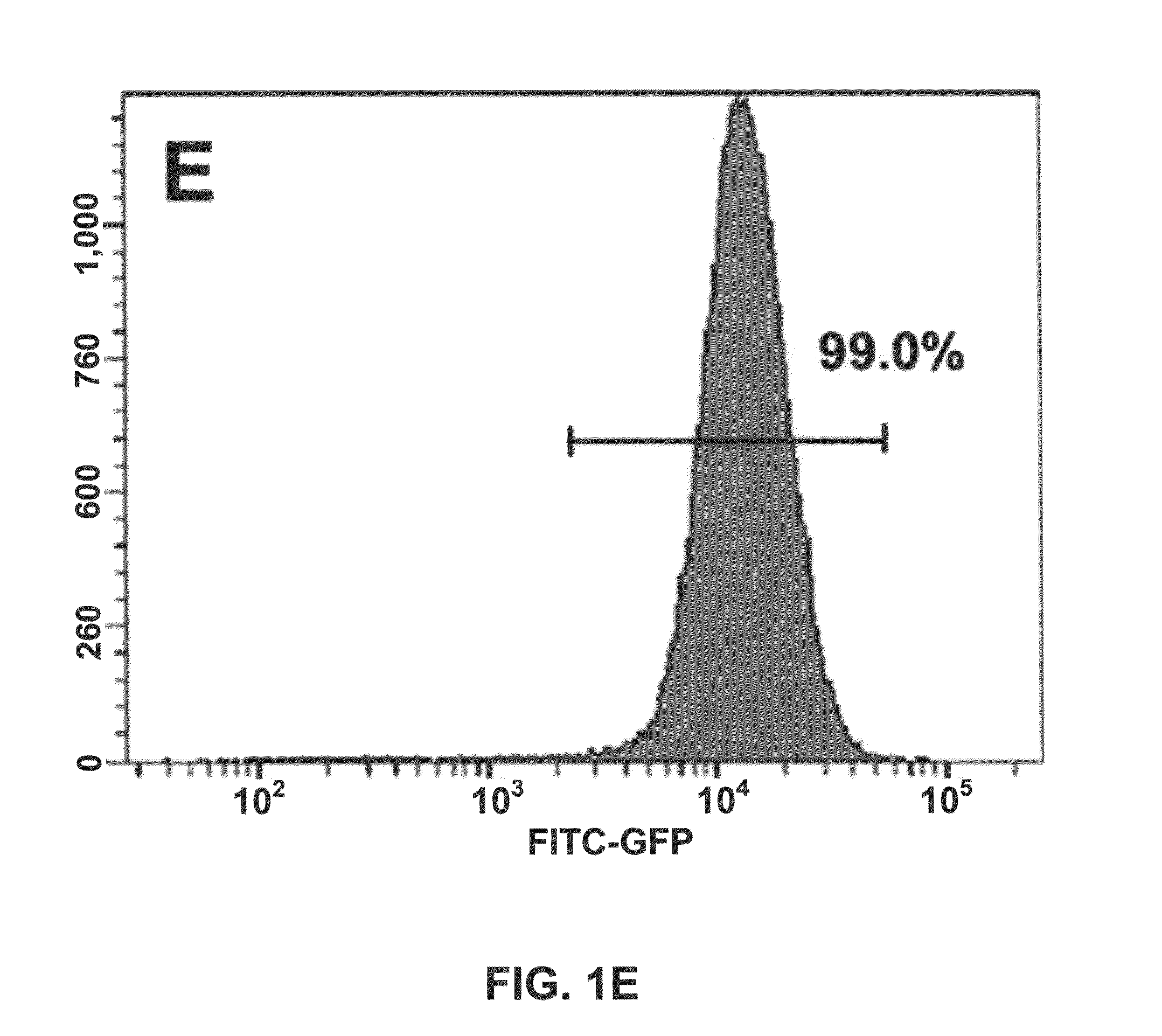 Gene recombination exchange system for stable gene modification in human ES cells