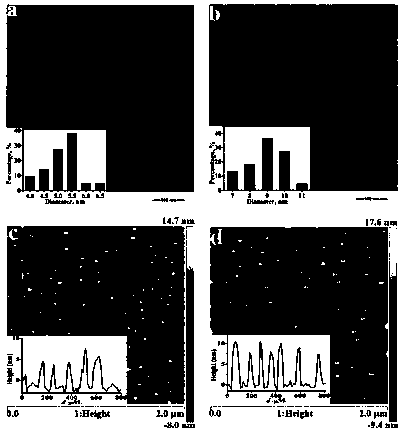 Method for simultaneously synthesizing hydrophilic and hydrophobic carbon points and application of method to detection of Au&lt;3+&gt; and preparation of white light-emitting diodes