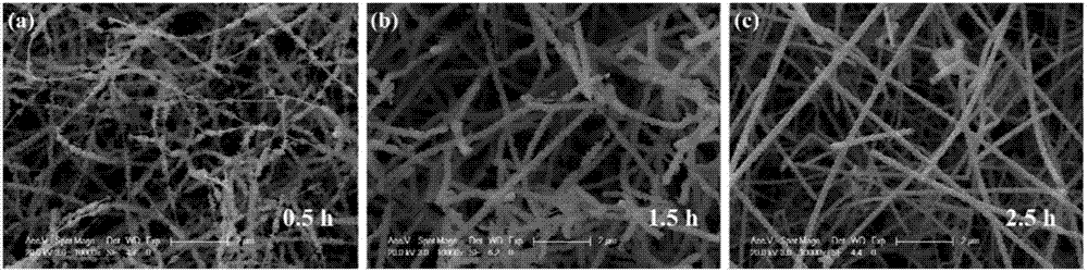 Zinc, bismuth and tellurium heterogeneous phase change nanowire material and preparation method and application thereof