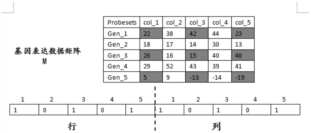 A Biclustering Method for Gene Expression Data Based on Two-Stage Genetic Computation