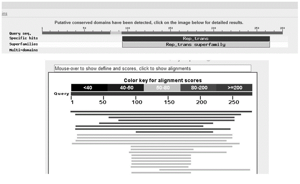 Arthrobacter sp. expression plasmid and application thereof