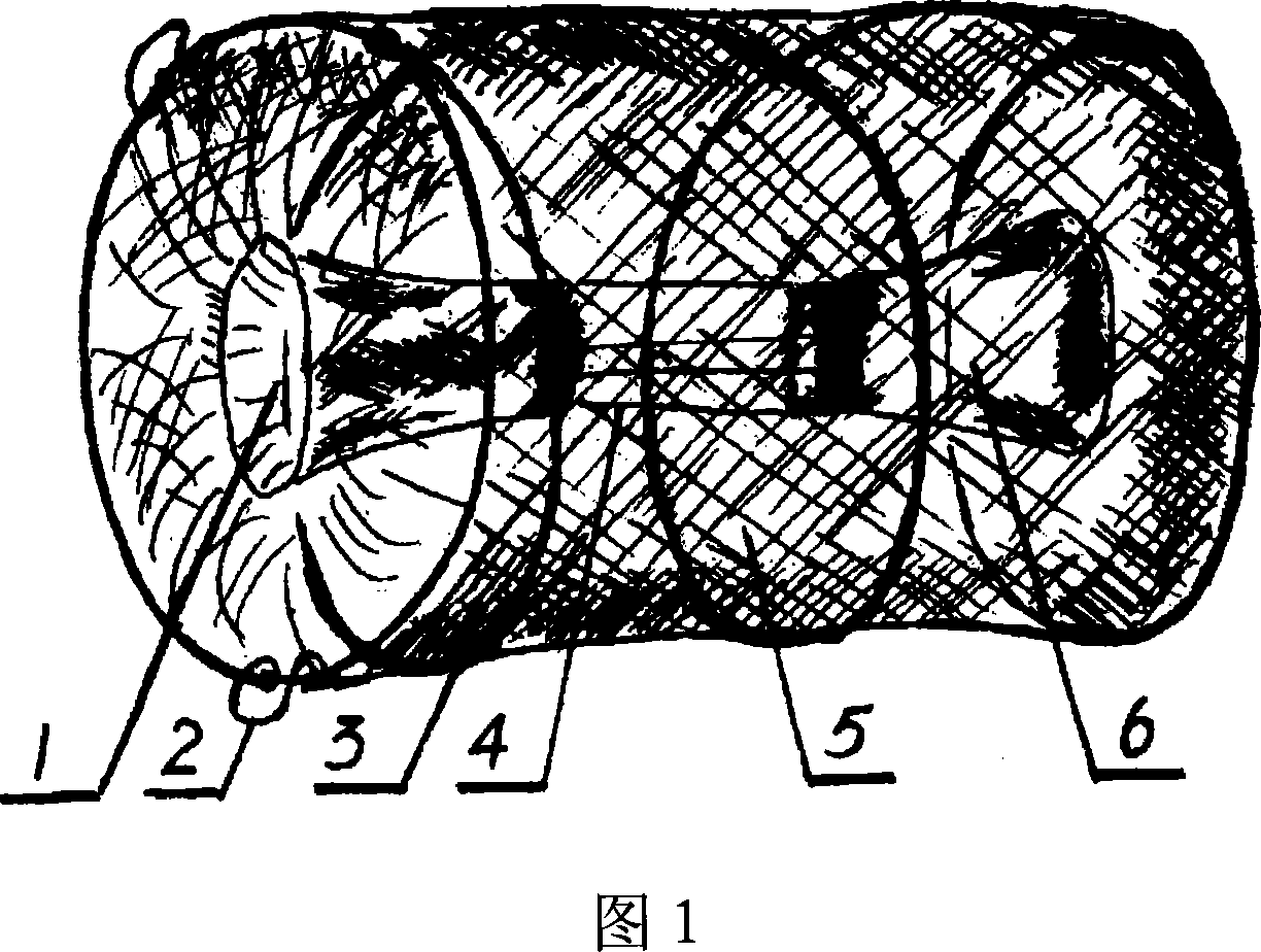 Dedicated method for catching alepidote fishes