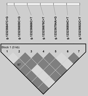 A method for detecting fat traits of cattle by using sdc3 promoter genetic marker