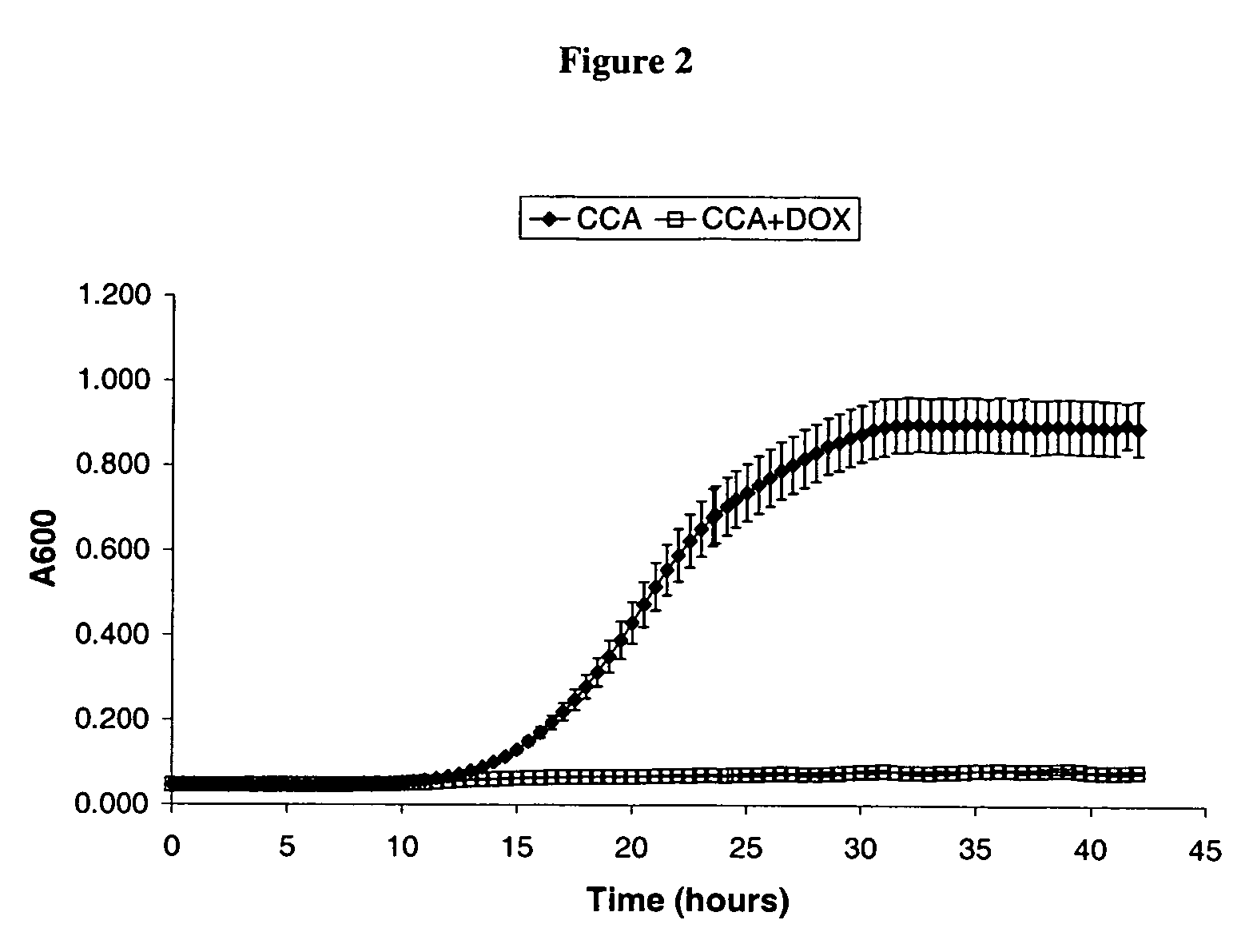 Cca1 as an antifungal target