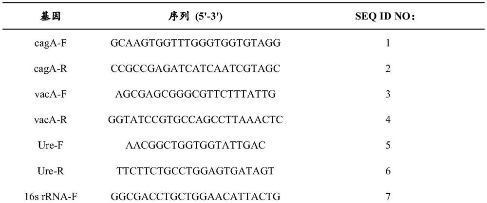 A probiotic composition for inhibiting Helicobacter pylori and its application