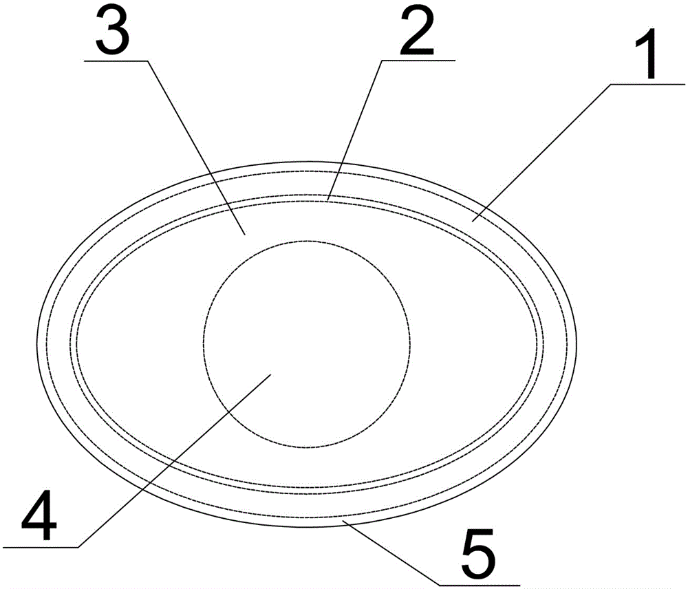 Intelligent constant-temperature hot-compressing patch