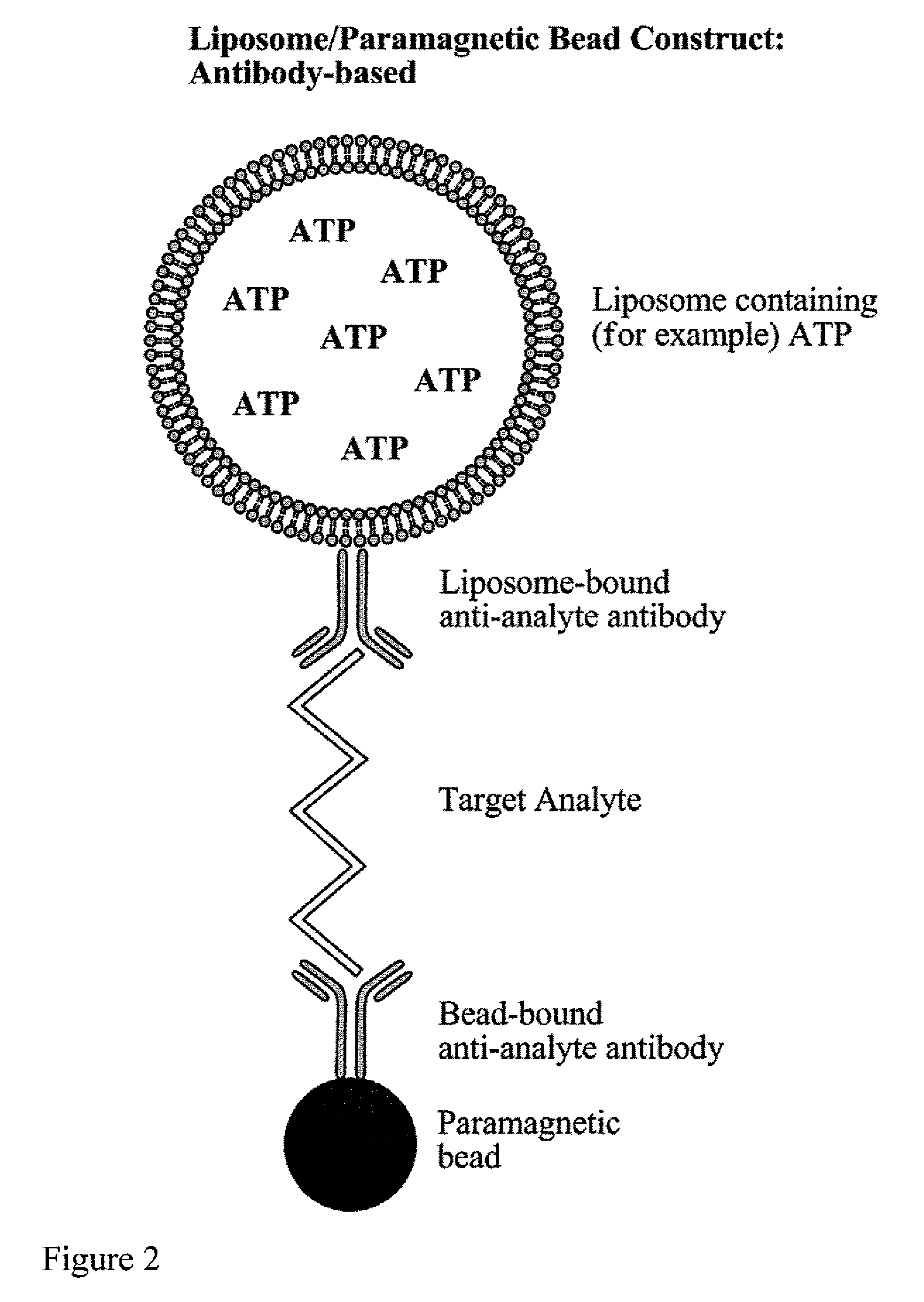 Detection of Analytes in Samples Using Liposome-Amplified Luminescence and Magnetic Separation