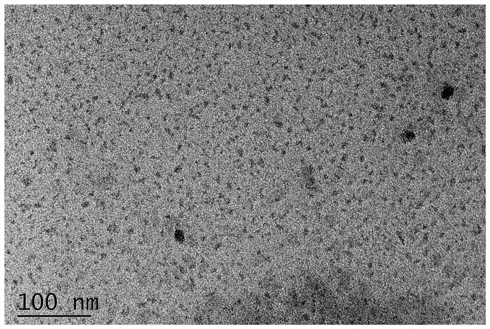 Method for preparing carbon quantum dots by taking activated sludge as raw material