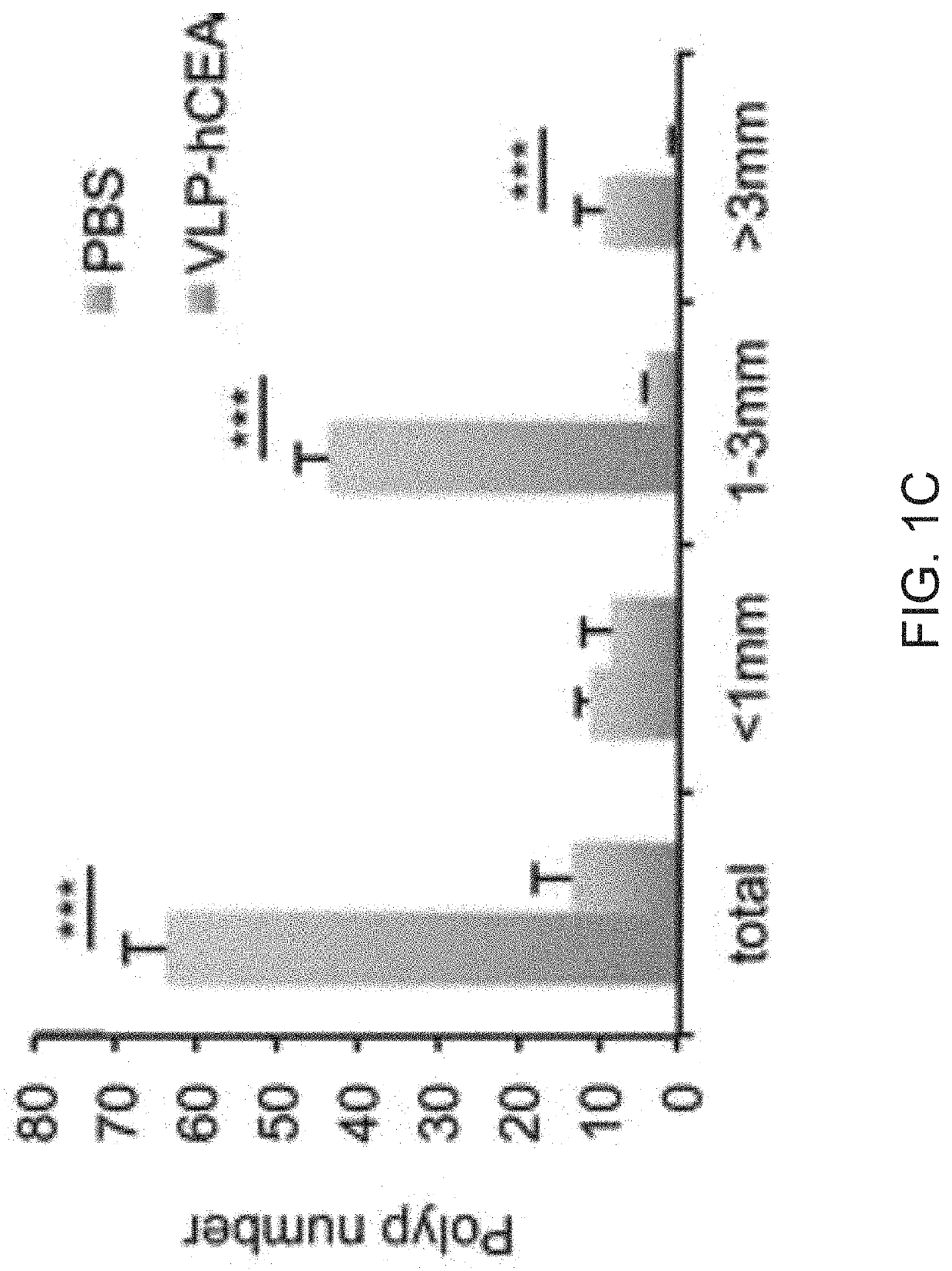 Inflammasome activators and methods of use to treat tumors