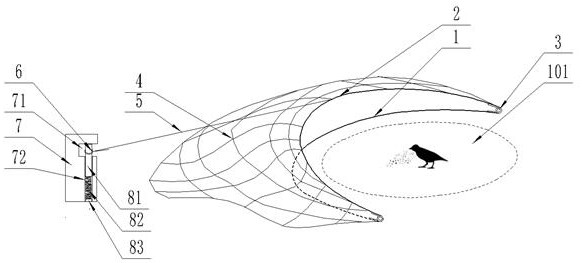 Directional trapping system and trapping method for birds