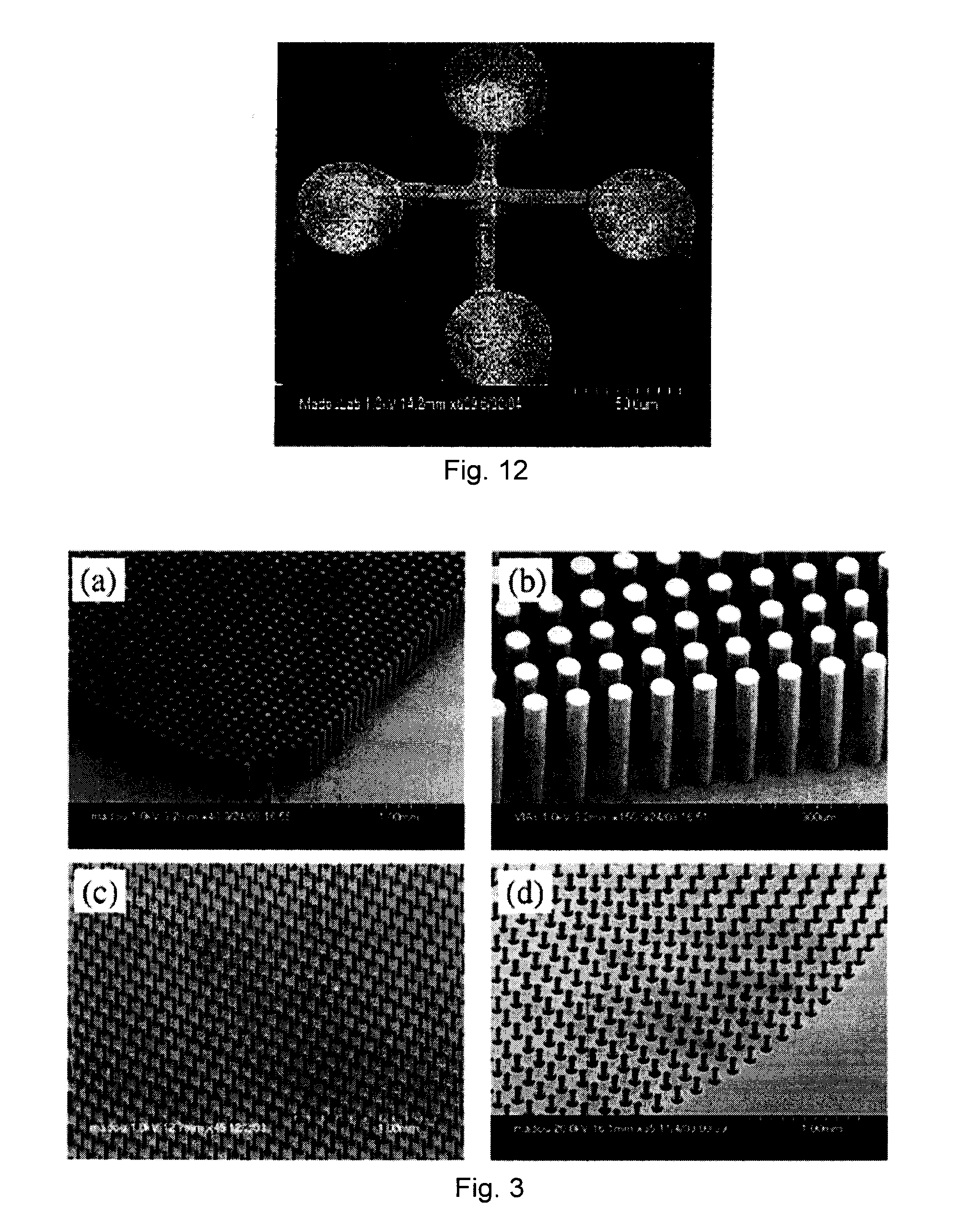 Fabrication of suspended carbon micro and nanoscale structures