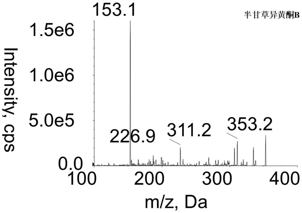 A method for measuring the concentration of semi-licorice isoflavone b in blood plasma