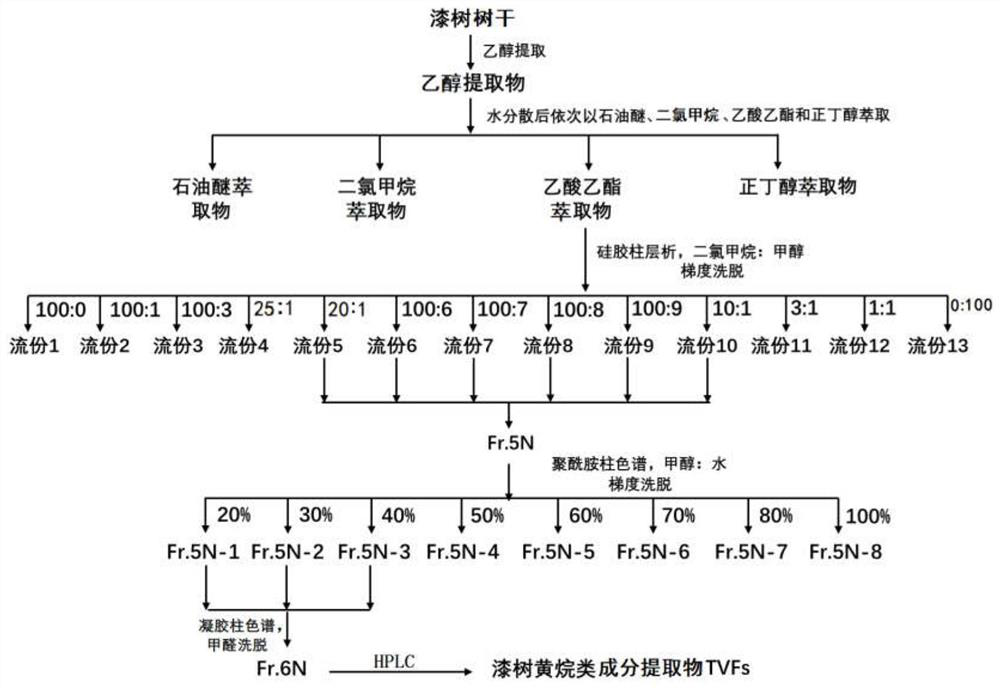 Preparation method of flavane component extract in lacquer tree, product and application thereof