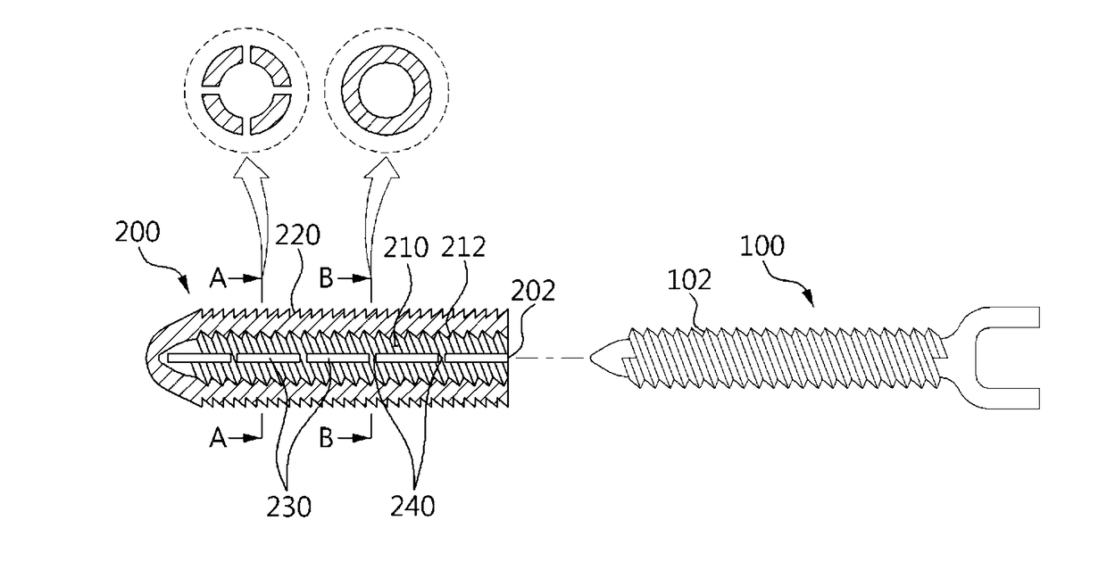 Screw fixing apparatus