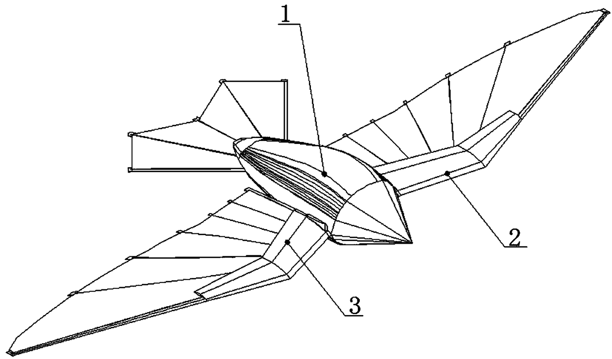 elastic wing flapping wing aircraft