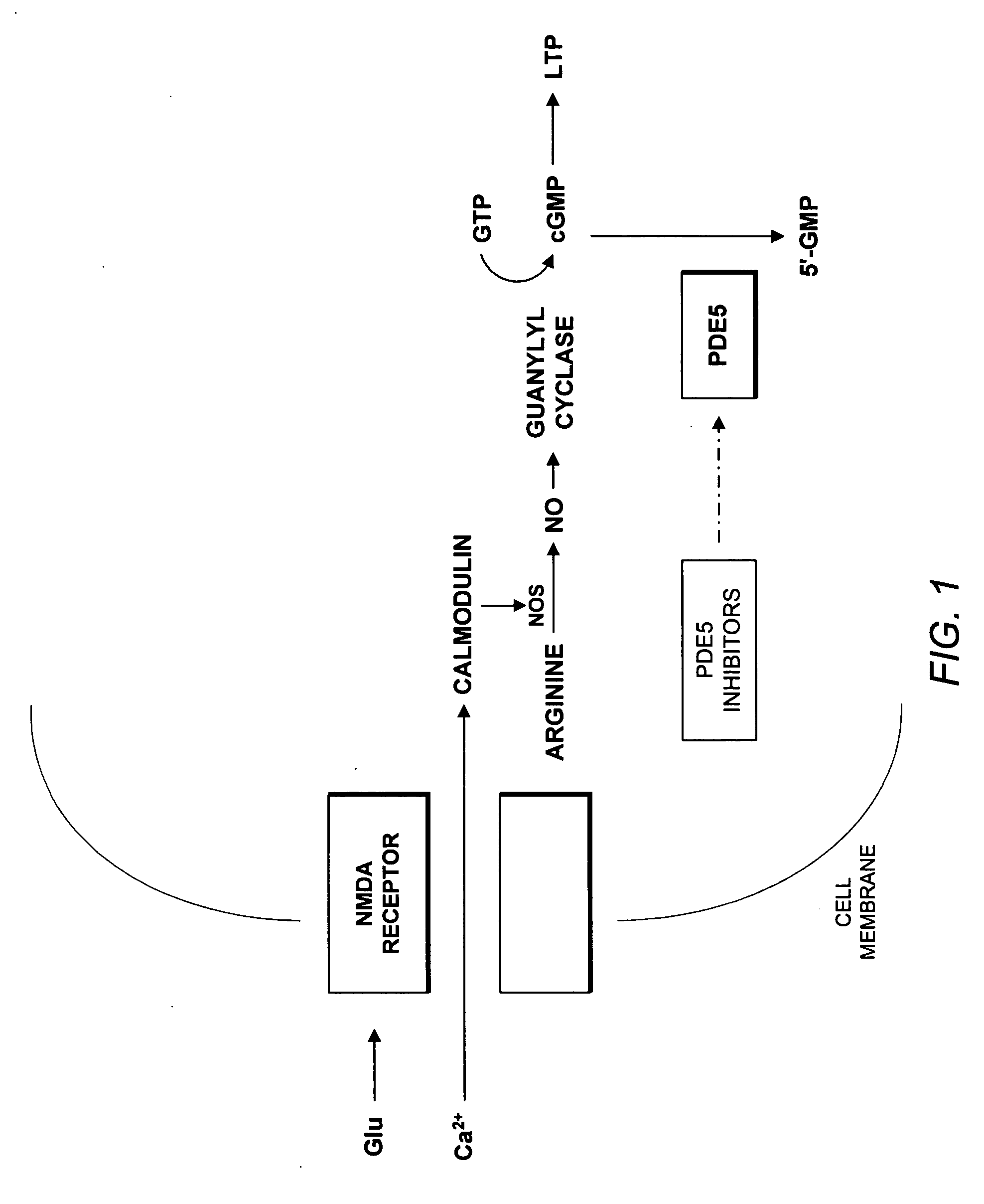 Use of phosphodiesterase 5 (PDE5) inhibitors in the treatment of schizophrenia