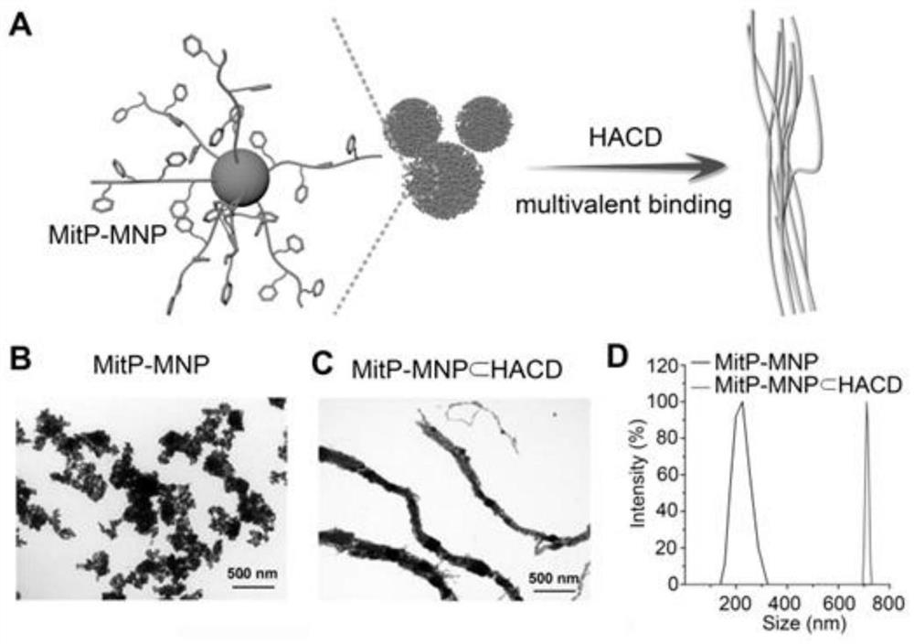 Preparation method and application of a dual-regulated supramolecular assembly that inhibits tumor invasion and spread