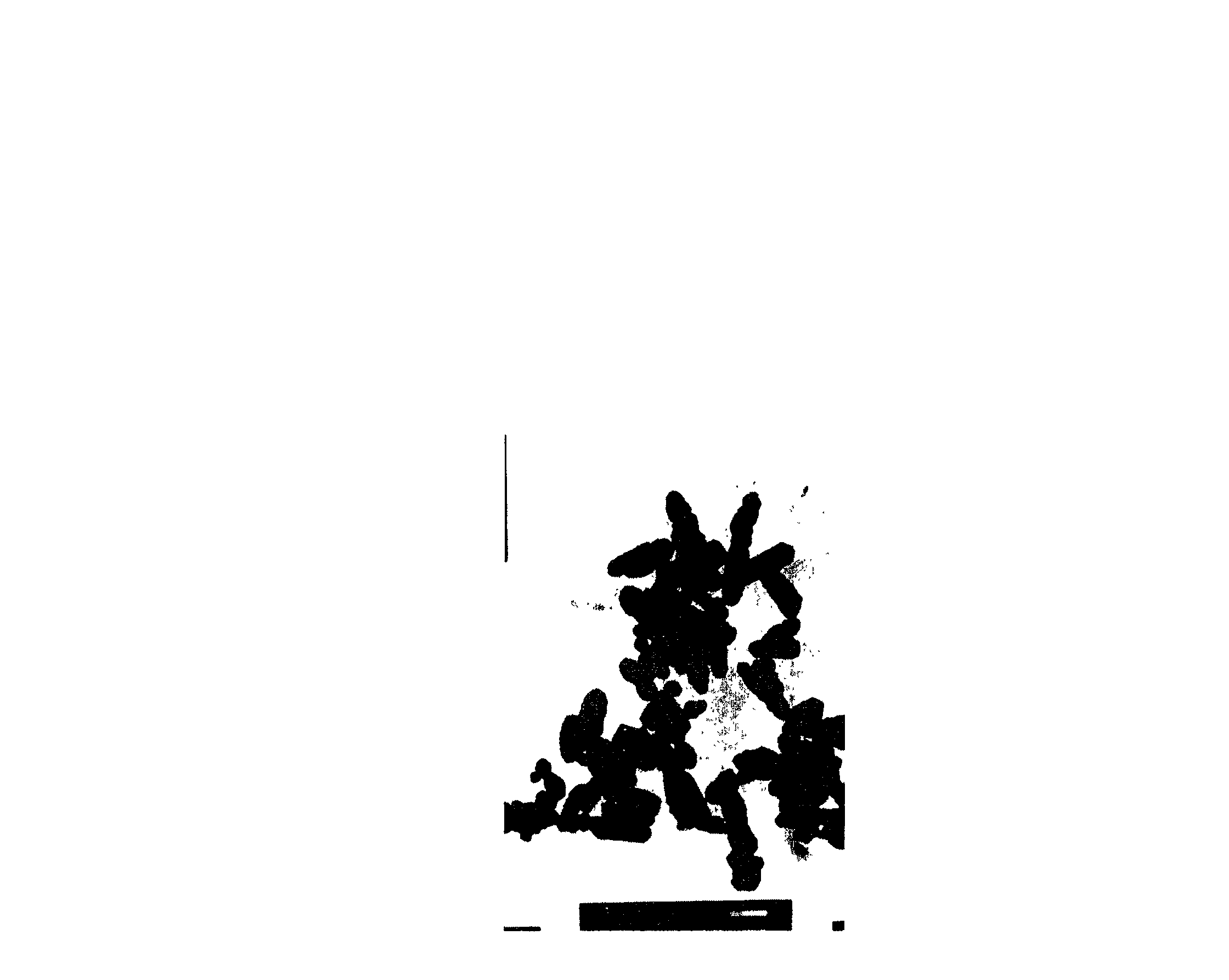 Process for preparing submicron grade superfine calcium carbonate dispersion particle