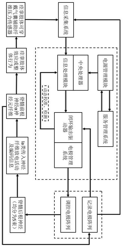 Intelligent self-evolution-type nerve regulation and control device and method for spastic cerebral palsy treatment