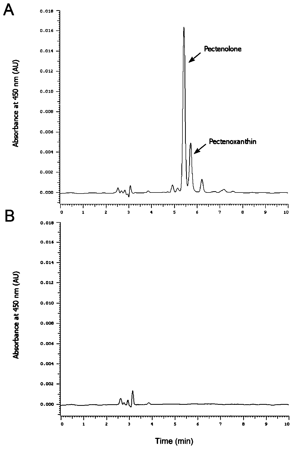 Method for increasing content of carotenoid in patinopecten yessoensis