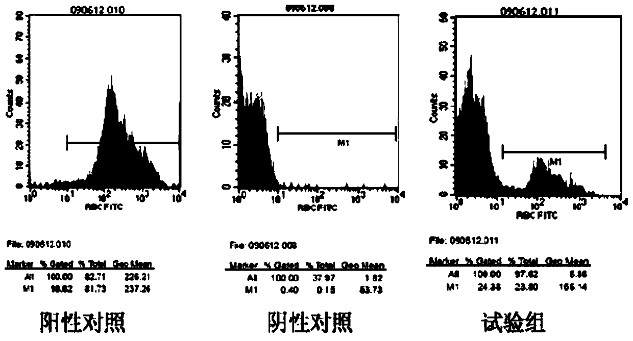 Drug carrier of slow-release chemotherapy target preparation in tumor operation and preparation method thereof