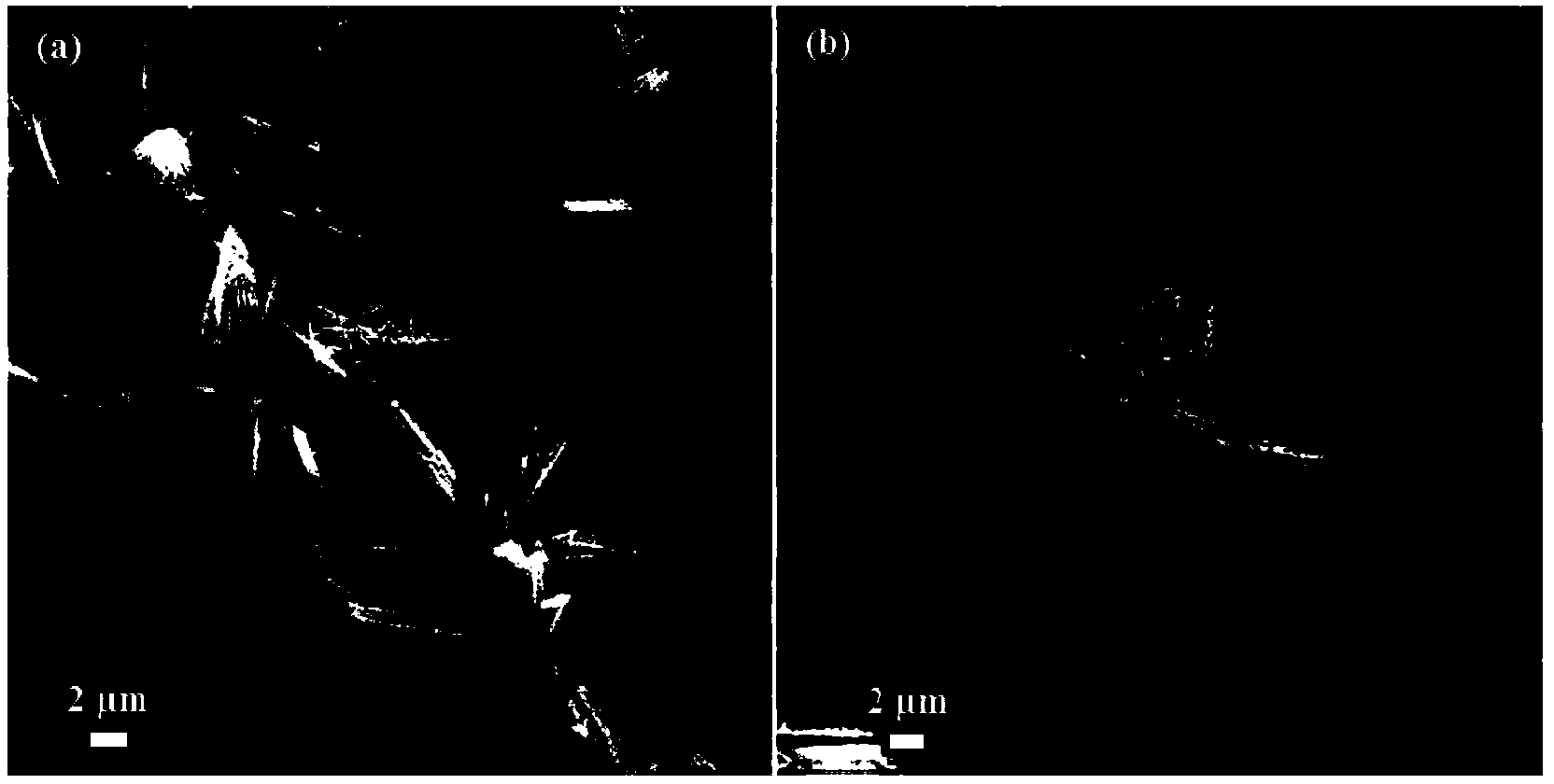 Method for synthesizing cobalt oxide/graphene composite wave-absorbing material