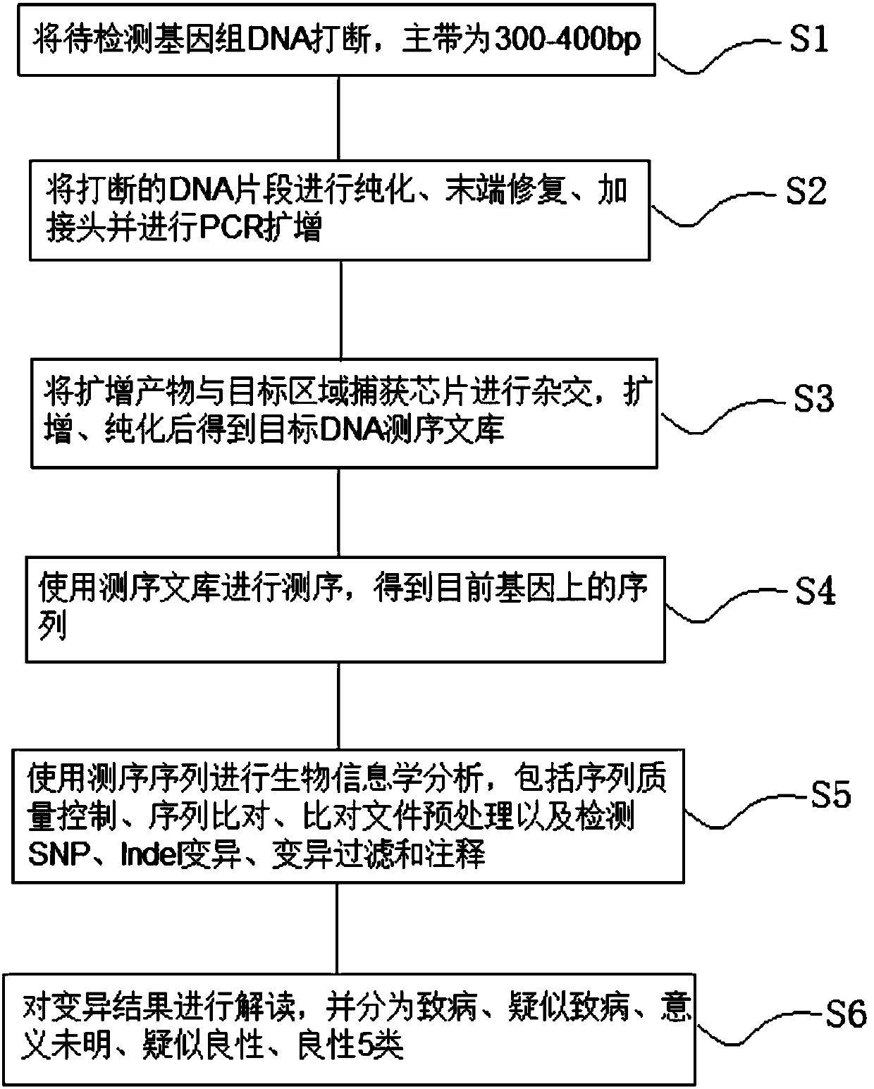 Detection method and chip for susceptibility gene of dilatant and hypertrophic cardiomyopathy