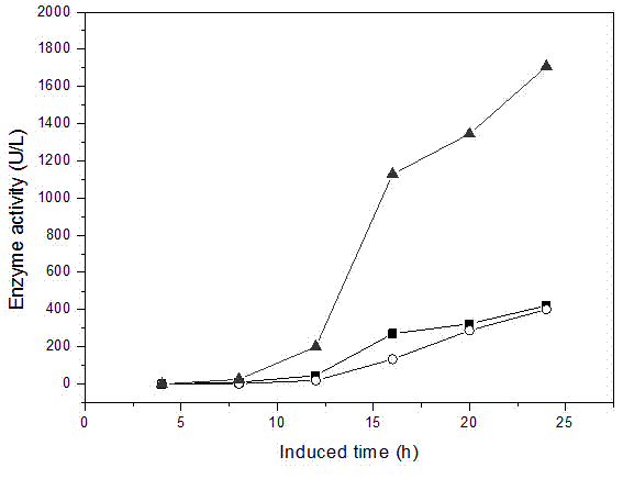 Gene knockout Escherichia coli beneficial to recombinant protein exocytosis and application thereof