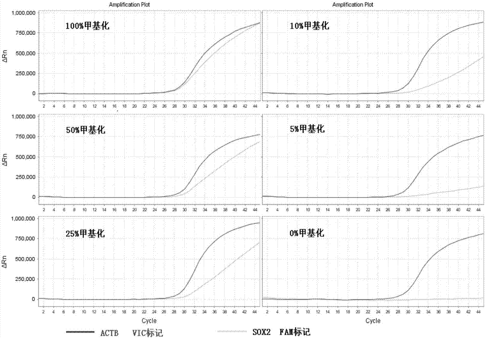 Primer pair, kit and method for methylation detection of lung cancer related gene SHOX2